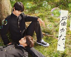 新闻稿优化.乐云seo品牌